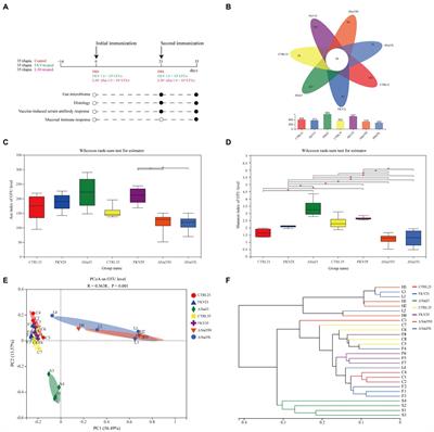 Attenuated Streptococcus agalactiae WC1535 ∆Sia perturbs the gut microbiota of Oreochromis niloticus, massively colonizes the intestine, and induces intestinal mucosal immunity after intraperitoneal inoculation